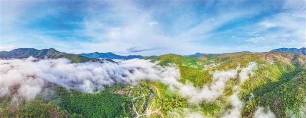 两会热词 | 围绕热带雨林国家公园 海南将规划建设多个文旅项目