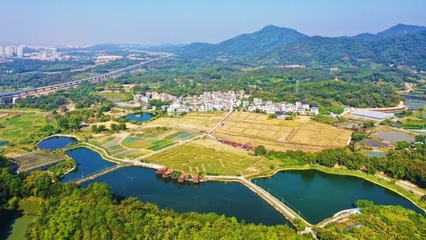 "网红村"再添头衔,迳下乡村旅游景区获评国家3A级旅游景区