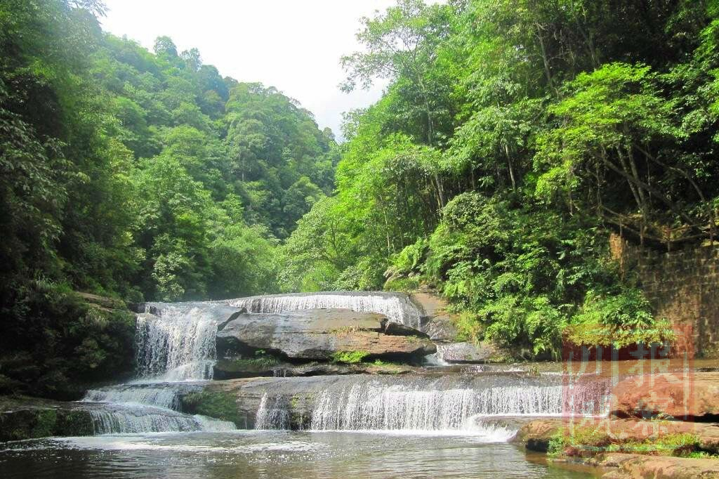泸州黄荆老林获50亿元投资:争当川南旅游业“龙头”