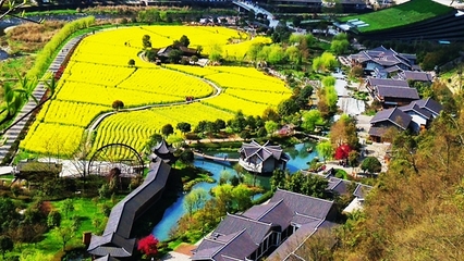 祥源控股集团搭建大湘西文旅平台,黄龙洞、百龙天梯、凤凰古城 三强联手闯天下