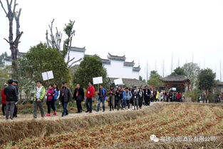 热烈祝贺 南平市首届旅游产业发展大会暨旅游产品交易会在武夷山隆重召开