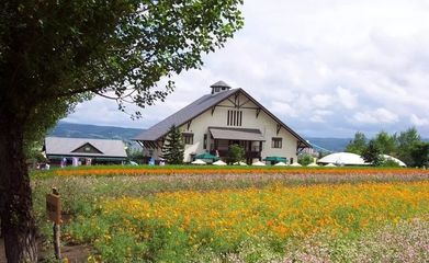 【乡村旅游研究院】探讨:体验式旅游的“三个注重、四大体验”
