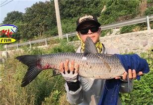 青鱼视频国产3,探索青春光影下的情感世界  第3张