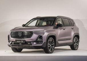 国产精品2019  第1张