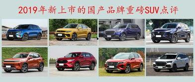 国产精品2019  第2张