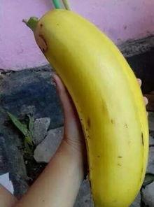 大香蕉国产91,揭秘国产影视的崛起之路  第1张