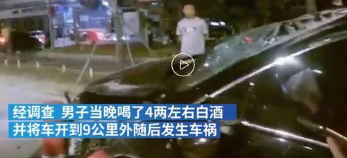 国产醉酒,探寻传统酒文化的魅力与挑战 第1张 国产醉酒,探寻传统酒文化的魅力与挑战 第1张