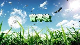 青草国产在线 第2张 青草国产在线 第2张