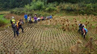 国产野外在线,国产野外在线之旅  第2张