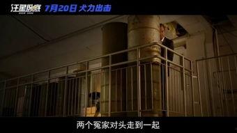 国产a级电影,国产A级电影的璀璨篇章  第3张