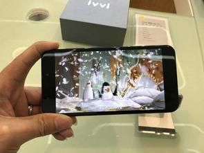 手机看片日韩国产  第1张