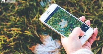 手机看片日韩国产  第3张