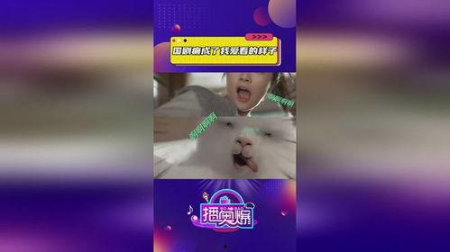 国产吧在线视频观看,畅享海量精彩国产影视盛宴 第3张 国产吧在线视频观看,畅享海量精彩国产影视盛宴 第3张