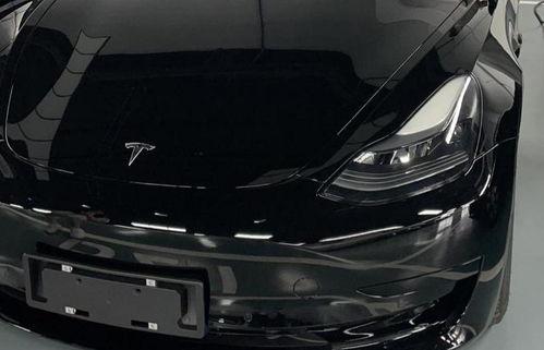 国产免 第2张 国产免 第2张