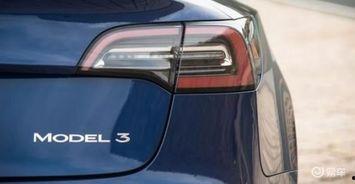 国产免 第3张 国产免 第3张