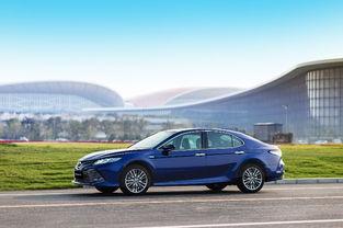 国产超91  第1张