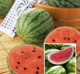 娱乐坊1吃瓜一线,吃瓜一线，揭秘娱乐圈最新热点事件