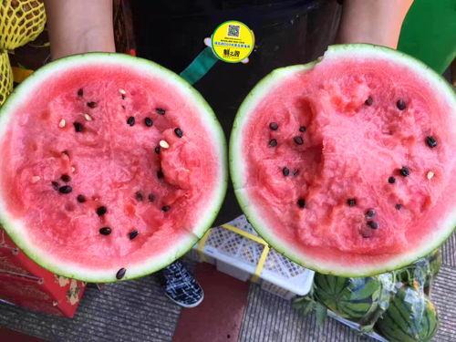 娱乐坊1吃瓜一线,吃瓜一线，揭秘娱乐圈最新热点事件