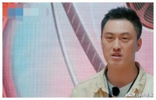 现在去娱乐圈吃瓜,揭秘明星幕后故事与幕后黑幕